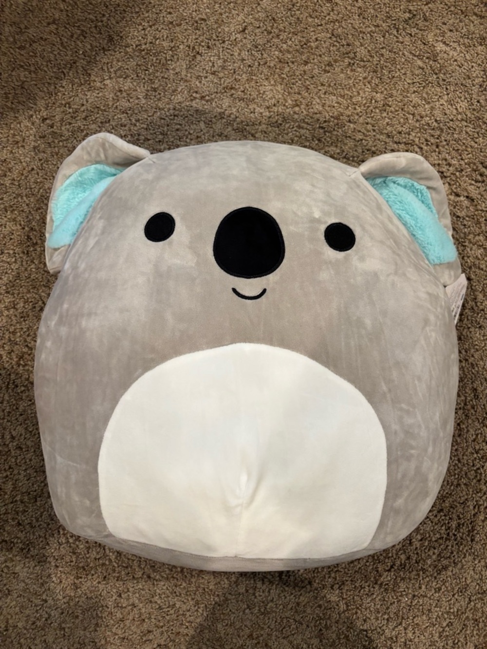Huge Koala Kirk Squishmallow NWT